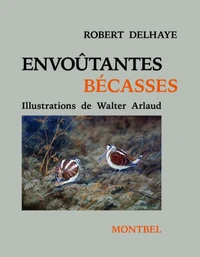 Envoutante bécasse