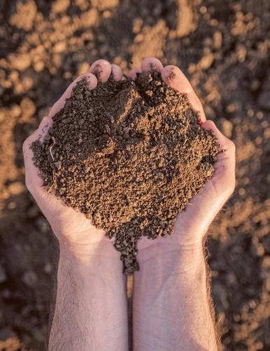 En route vers l'autosuffisance alimentaire !. Créez votre potager autonome