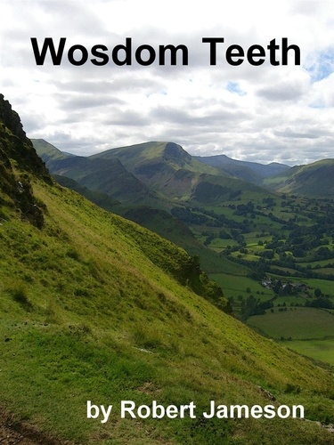  Robert Jameson - Wosdom Teeth - The Wosdom Series, #4.