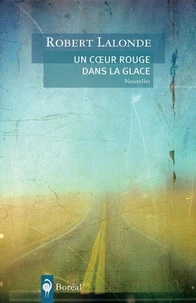 Un coeur rouge dans la glace