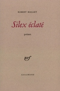 Robert Mallet - Silex Eclaté.