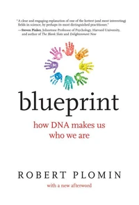 Blueprint