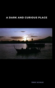 A Dark and Curious Place