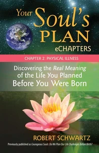 Your Soul's Plan