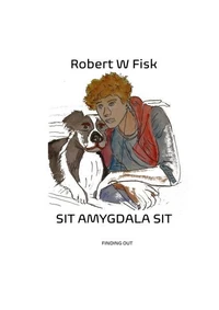Sit Amygdala Sit