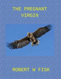 The Pregnant Virgin