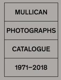 Matt Mullican
