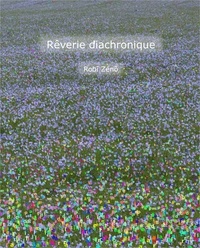 Robĩ Zénõ - Rêverie diachronique - La révolusiõ grafiqe du 21ème sièqle.