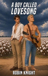 A Boy Called Lovesong