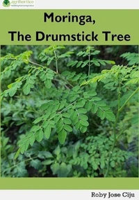 Moringa, the Drumstick Tree