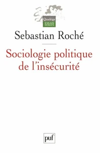 Sociologie politique de l'insécurité