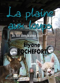 Du foin dans le vieux tacot
