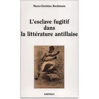 L'esclave fugitif dans la littérature antillaise