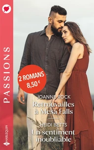 Retrouvailles à Mesa Falls ; Un sentiment inoubliable