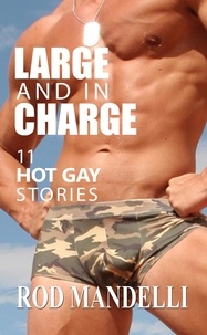  Rod Mandelli - Large and in Charge! 11 Hot Gay Stories.