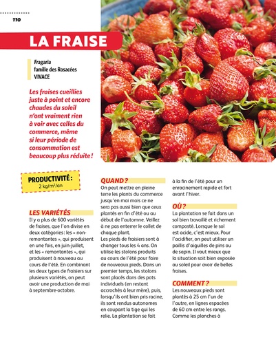 Un petit potager productif. Les fruits et les légumes les plus rentables à cultiver sur une petite surface