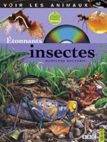 Rodolphe Rougerie - Etonnants insectes. 1 DVD