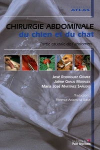 Chirurgie abdominale du chien et du chat