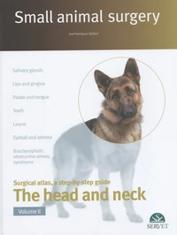 Small animal surgery