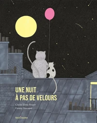 Une nuit à pas de velours