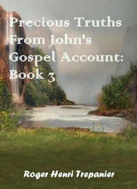 Precious Truths From John's Gospel Account: Book 3