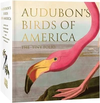 Audubon's Birds of America