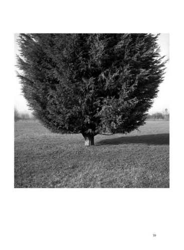 Etre arbre. Vingt-sept photographies de Max Barboni