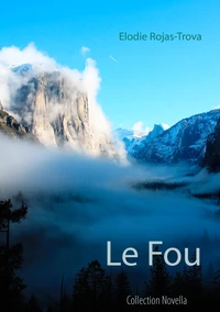 Le fou