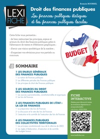Droit des finances publiques - Les finances publiques étatiques et les finances publiques locales.pdf