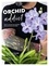 Orchid addict. Trucs et astuces d'un passionné pour cultiver ses orchidées