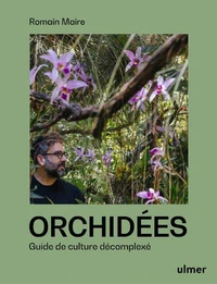 Orchidées