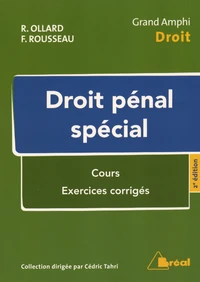 Droit pénal spécial