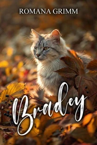 Bradey