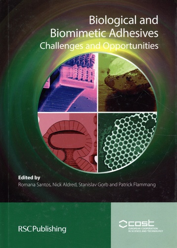 Biological and Biomimetic Adhesives. Challenges and Opportunities