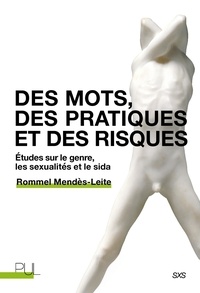Rommel Mendès-Leite - Des mots, des pratiques et des risques - Etudes sur le genre, les sexualités et le sida.