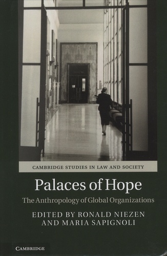 Ronald Niezen et Maria Sapignoli - Palaces of Hope - The Anthropology of Global Organizations.
