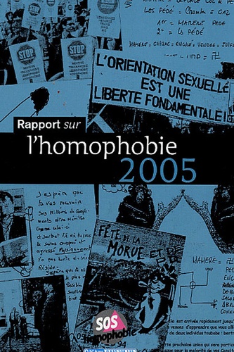 Ronan Rosec - Rapport sur l'homophobie.