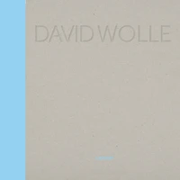 David Wolle