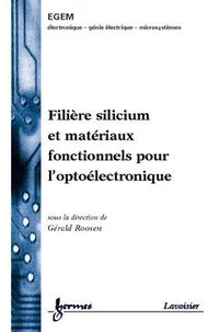 Filère silicium et matériaux fonctionnels pour l'optoélectronique