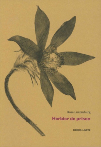 Herbier de prison. (1915-1918)