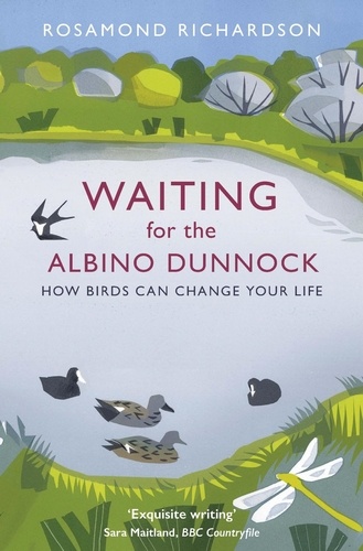 Waiting for the Albino Dunnock. How birds can change your life