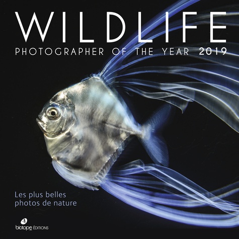 Wildlife Photographer of the Year 2019. Les plus belles photos de nature