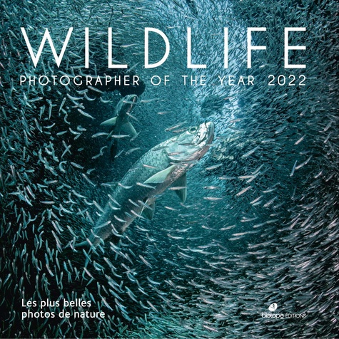 Wildlife Photographer of the Year. Les plus belles photos de nature  Edition 2022