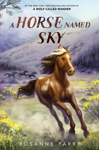 Rosanne Parry et Kirbi Fagan - A Horse Named Sky.