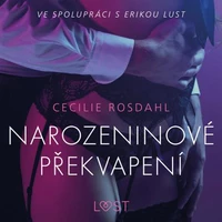Narozeninové překvapení - Erotická povídka