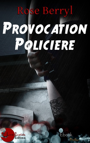 Provocation Policière