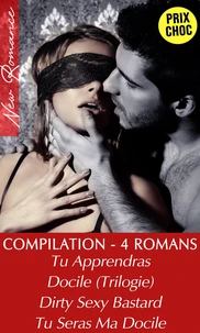 Compilation 4 Romans / Intégrales Adultes
