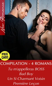 Compilation - Compilation 4 Romances Adultes