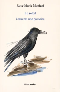 Le soleil à travers une passoire