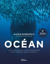 Océan